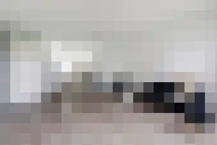 Lint 30 Lage Zwaluwe thumbnail 8