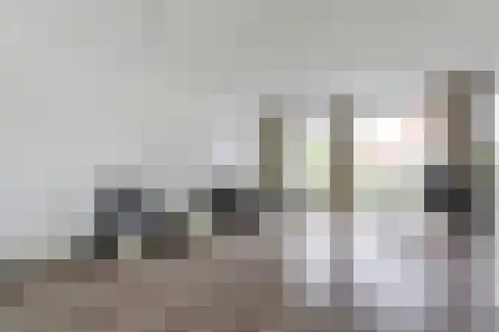 Lint 30 Lage Zwaluwe thumbnail 9