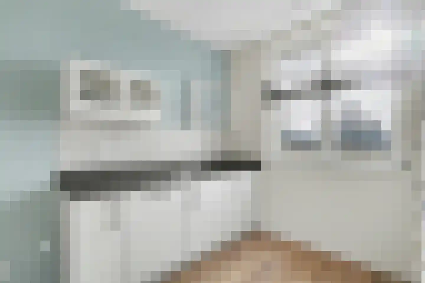 Lint 36 Lage Zwaluwe thumbnail 12
