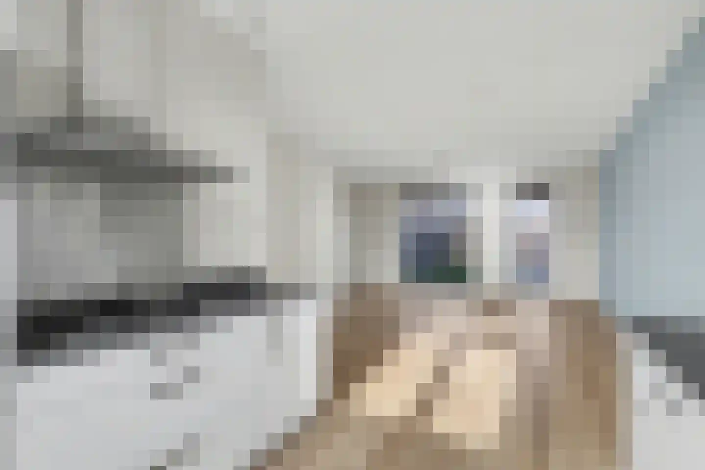 Lint 36 Lage Zwaluwe thumbnail 14