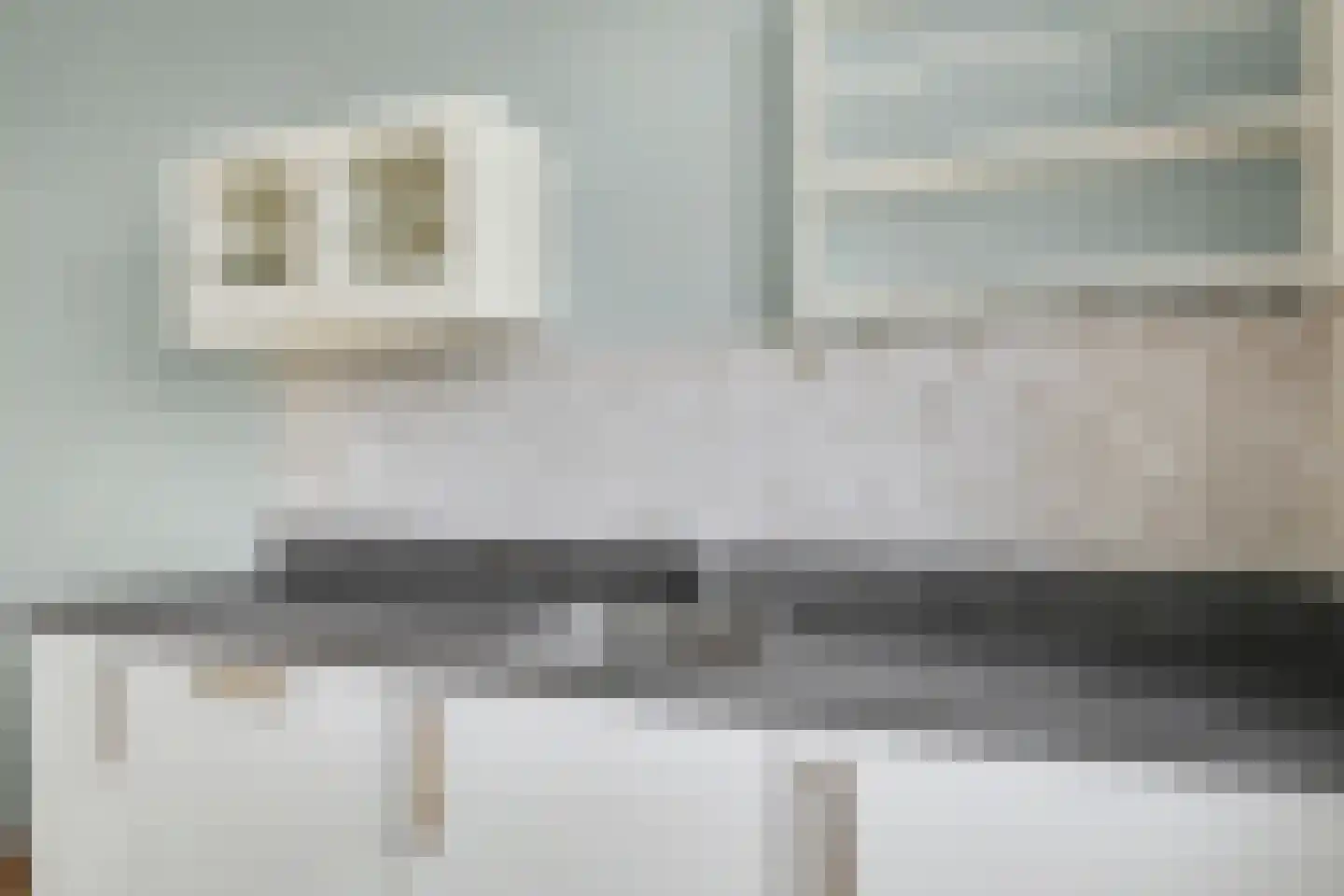 Lint 36 Lage Zwaluwe thumbnail 15