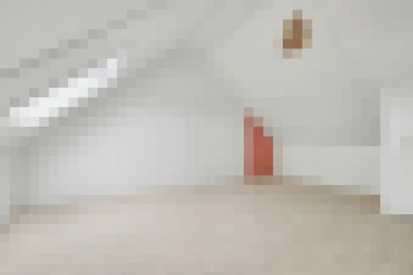 Lint 36 Lage Zwaluwe thumbnail 28