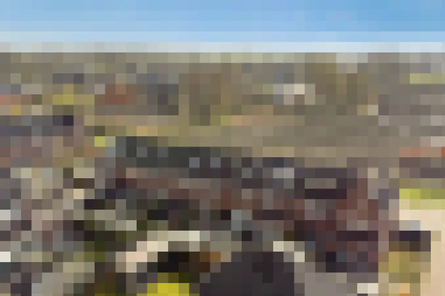Lint 36 Lage Zwaluwe thumbnail 41