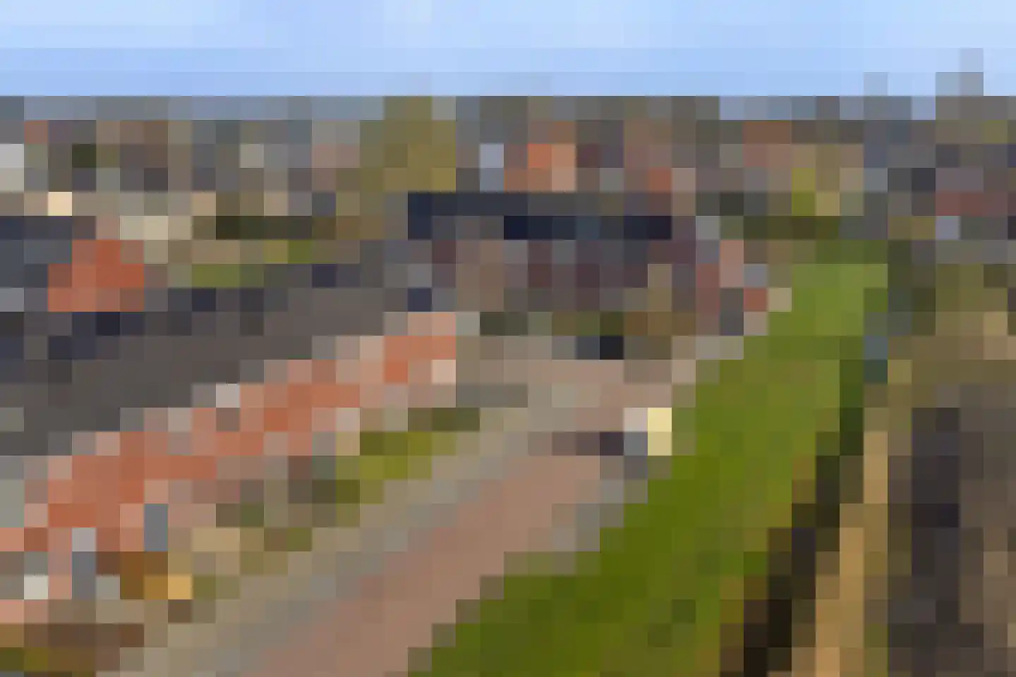 Lint 36 Lage Zwaluwe thumbnail 44