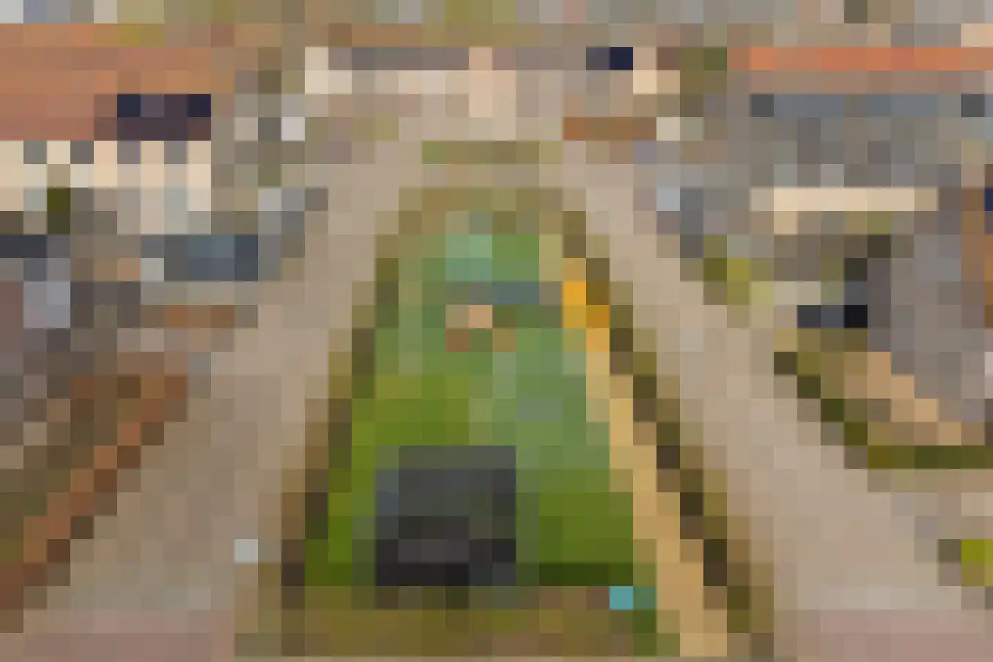 Lint 36 Lage Zwaluwe thumbnail 47