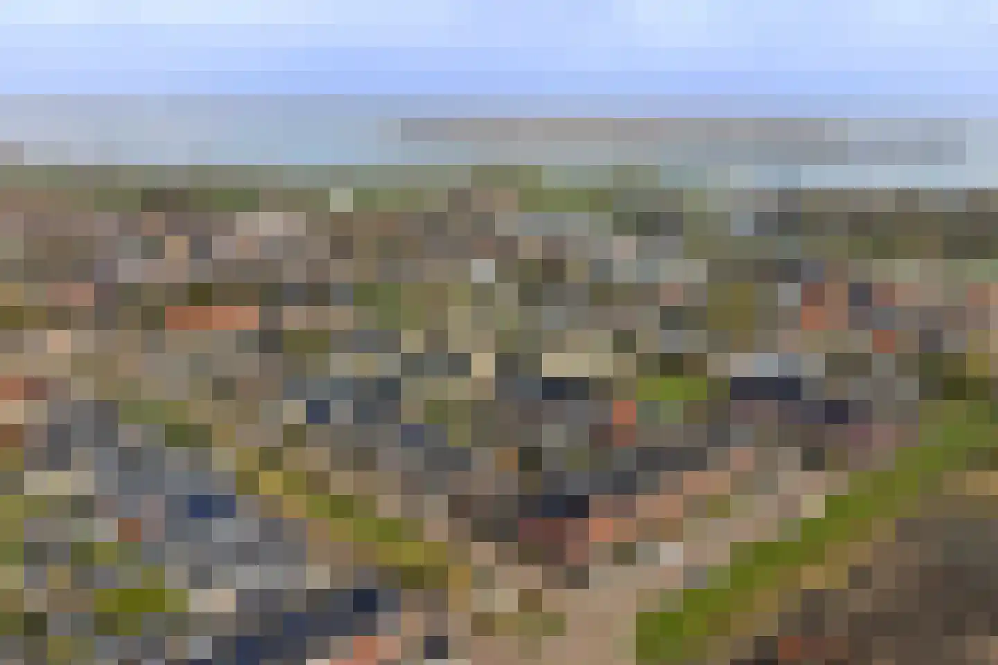 Lint 36 Lage Zwaluwe thumbnail 49