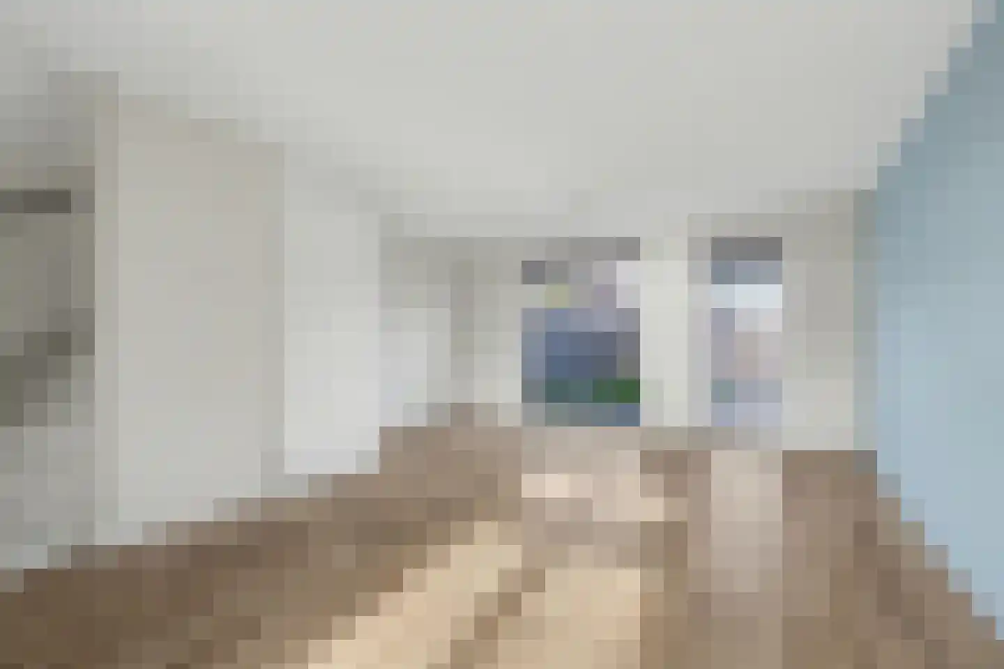 Lint 36 Lage Zwaluwe thumbnail 5