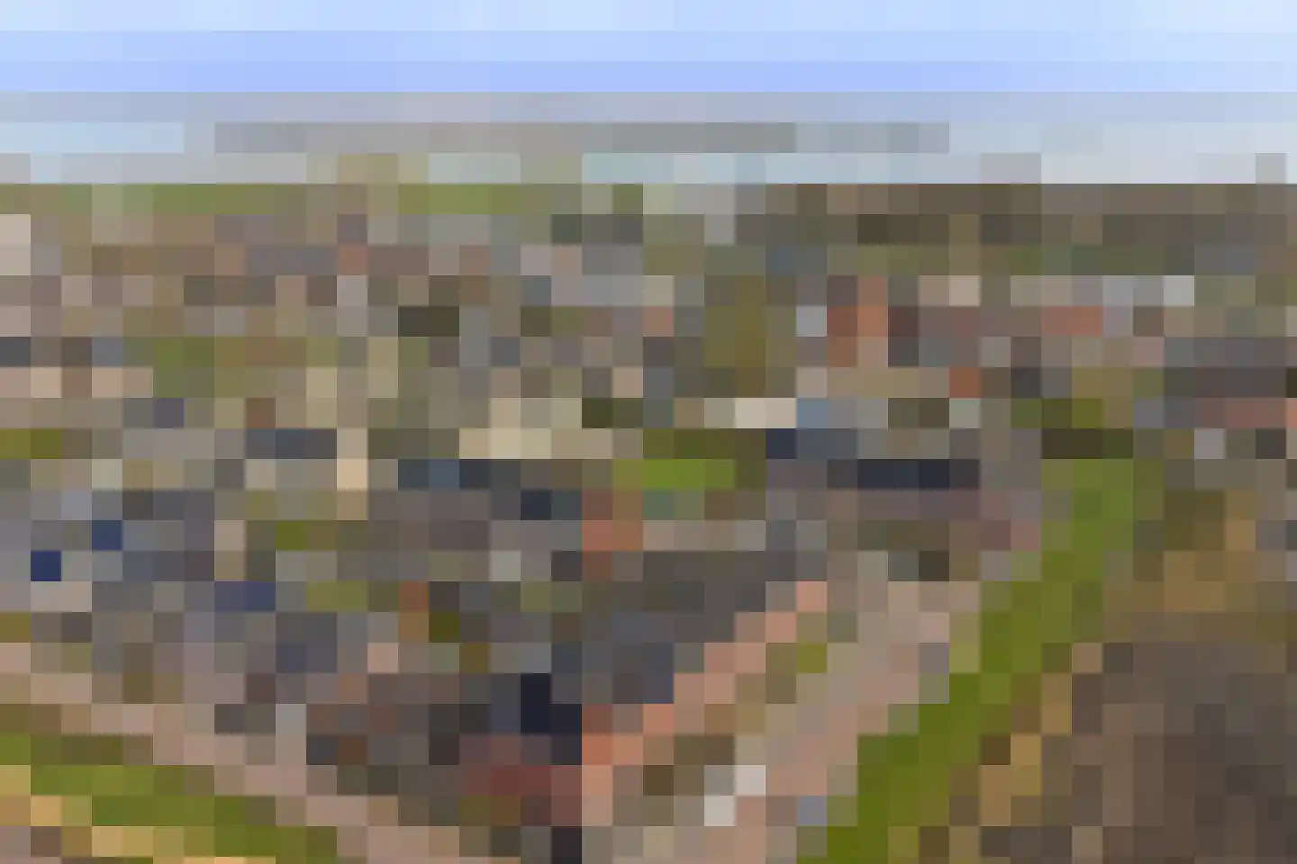 Lint 36 Lage Zwaluwe thumbnail 50