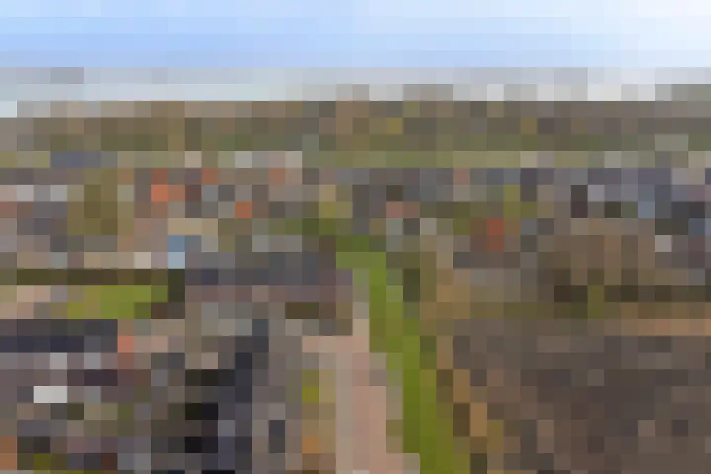 Lint 36 Lage Zwaluwe thumbnail 51