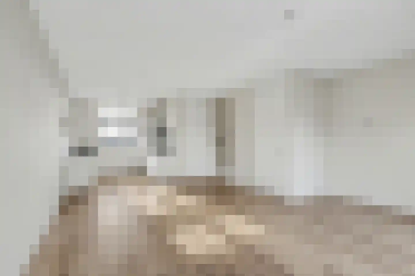 Lint 36 Lage Zwaluwe thumbnail 7
