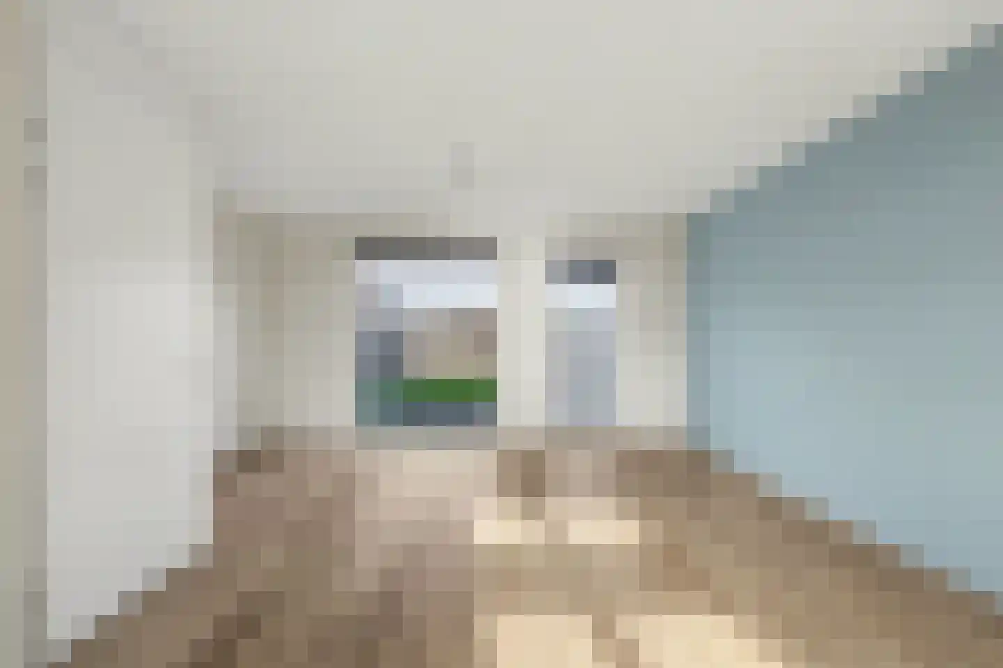 Lint 36 Lage Zwaluwe thumbnail 9