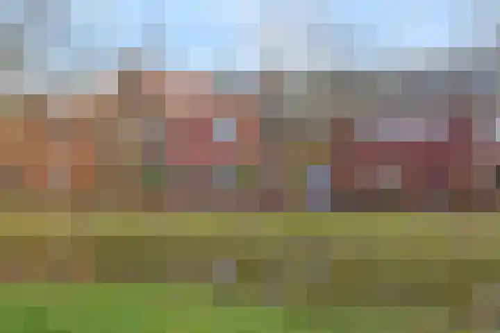 Lint van Ackerswoude 22 in Pijnacker