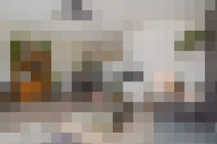 Lint van Ackerswoude 22 Pijnacker thumbnail 10