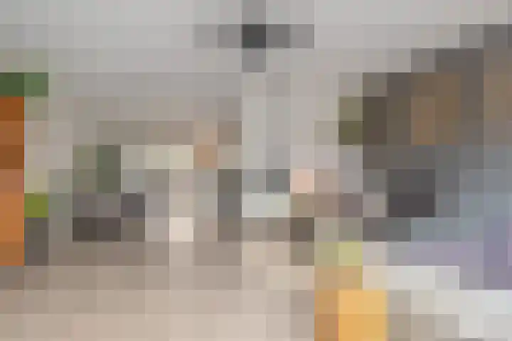 Lint van Ackerswoude 22 Pijnacker thumbnail 11