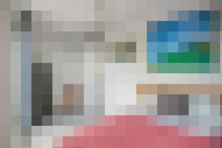 Lint van Ackerswoude 22 Pijnacker thumbnail 12