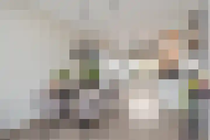 Lint van Ackerswoude 22 Pijnacker thumbnail 12