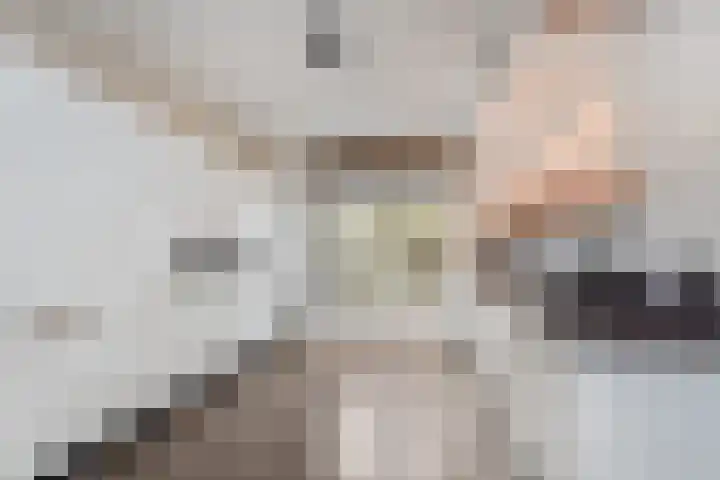 Lint van Ackerswoude 22 Pijnacker thumbnail 13