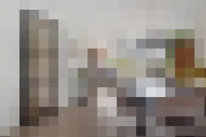 Lint van Ackerswoude 22 Pijnacker thumbnail 16