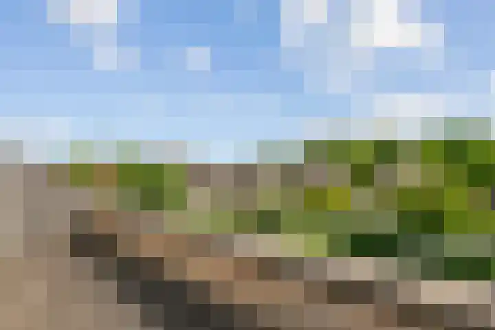 Lint van Ackerswoude 22 Pijnacker thumbnail 18