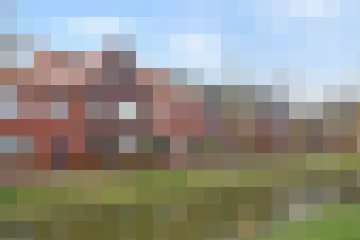 Lint van Ackerswoude 22 Pijnacker foto 2