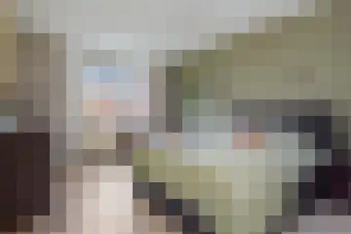 Lint van Ackerswoude 22 Pijnacker thumbnail 21