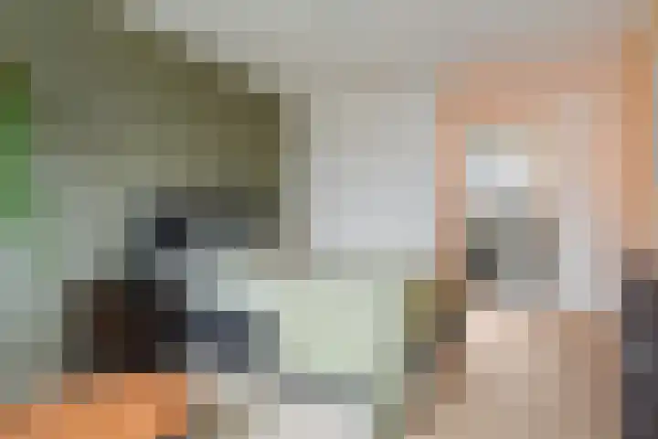 Lint van Ackerswoude 22 Pijnacker thumbnail 23