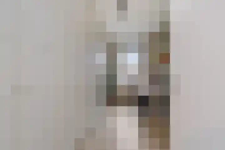 Lint van Ackerswoude 22 Pijnacker thumbnail 25