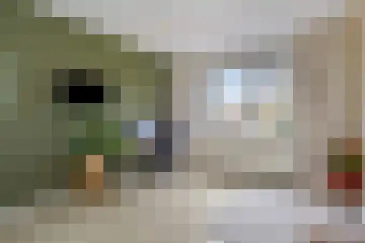 Lint van Ackerswoude 22 Pijnacker thumbnail 31