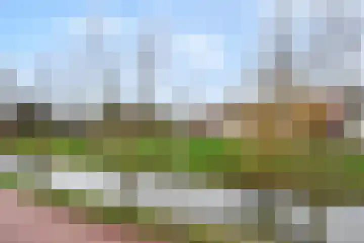 Lint van Ackerswoude 22 Pijnacker thumbnail 32