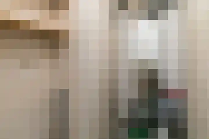 Lint van Ackerswoude 22 Pijnacker thumbnail 33