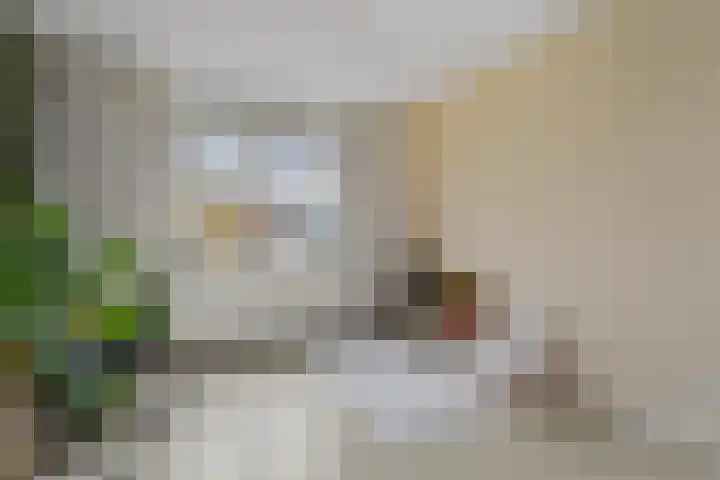 Lint van Ackerswoude 22 Pijnacker thumbnail 33