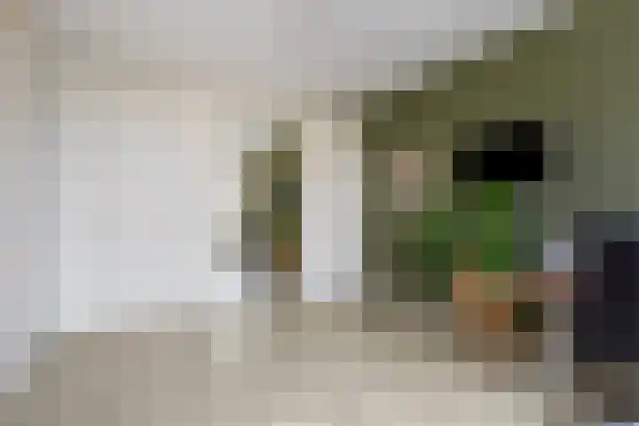 Lint van Ackerswoude 22 Pijnacker thumbnail 34