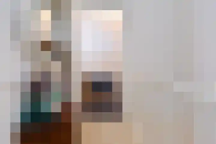 Lint van Ackerswoude 22 Pijnacker thumbnail 37