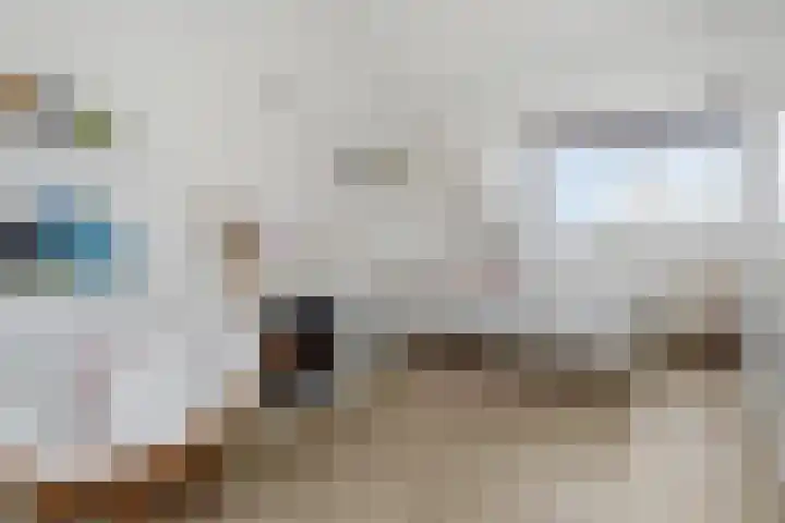 Lint van Ackerswoude 22 Pijnacker thumbnail 39
