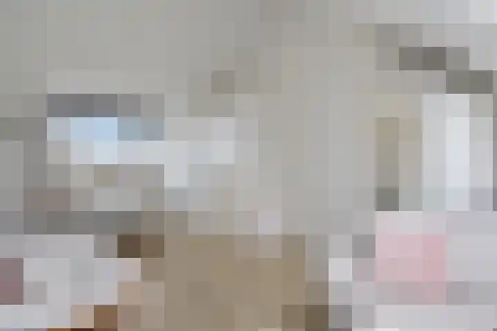 Lint van Ackerswoude 22 Pijnacker thumbnail 40
