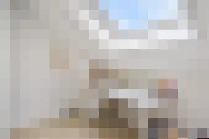 Lint van Ackerswoude 22 Pijnacker thumbnail 43