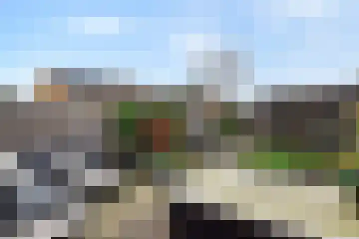 Lint van Ackerswoude 22 Pijnacker thumbnail 44