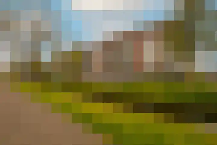 Lint van Ackerswoude 22 Pijnacker thumbnail 45