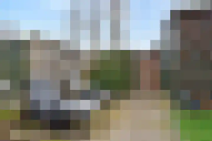Lint van Ackerswoude 22 Pijnacker thumbnail 48