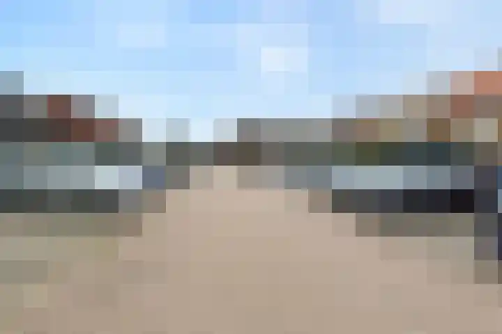 Lint van Ackerswoude 22 Pijnacker thumbnail 52