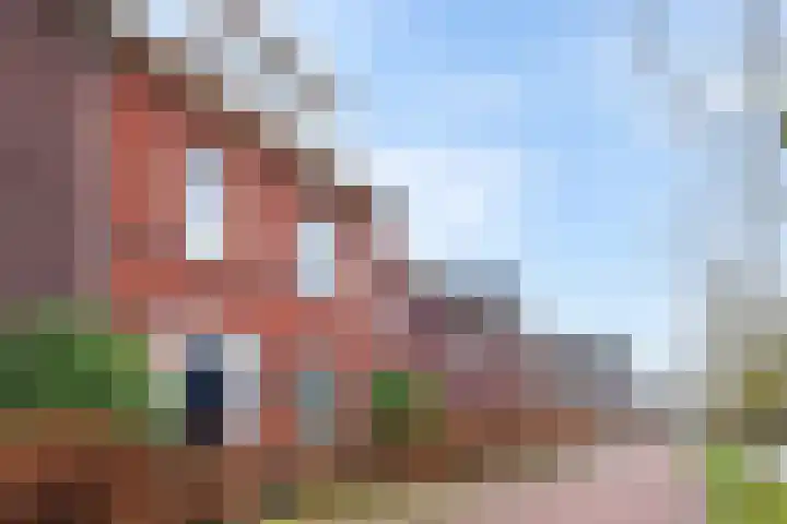 Lint van Ackerswoude 22 Pijnacker thumbnail 53
