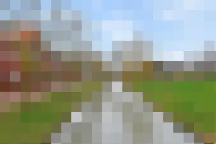 Lint van Ackerswoude 22 Pijnacker thumbnail 54