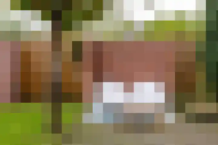Lint van Ackerswoude 22 Pijnacker thumbnail 59