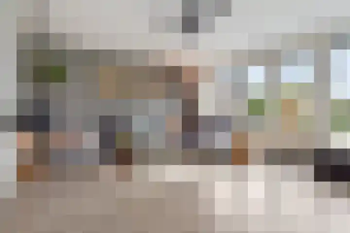 Lint van Ackerswoude 22 Pijnacker thumbnail 8