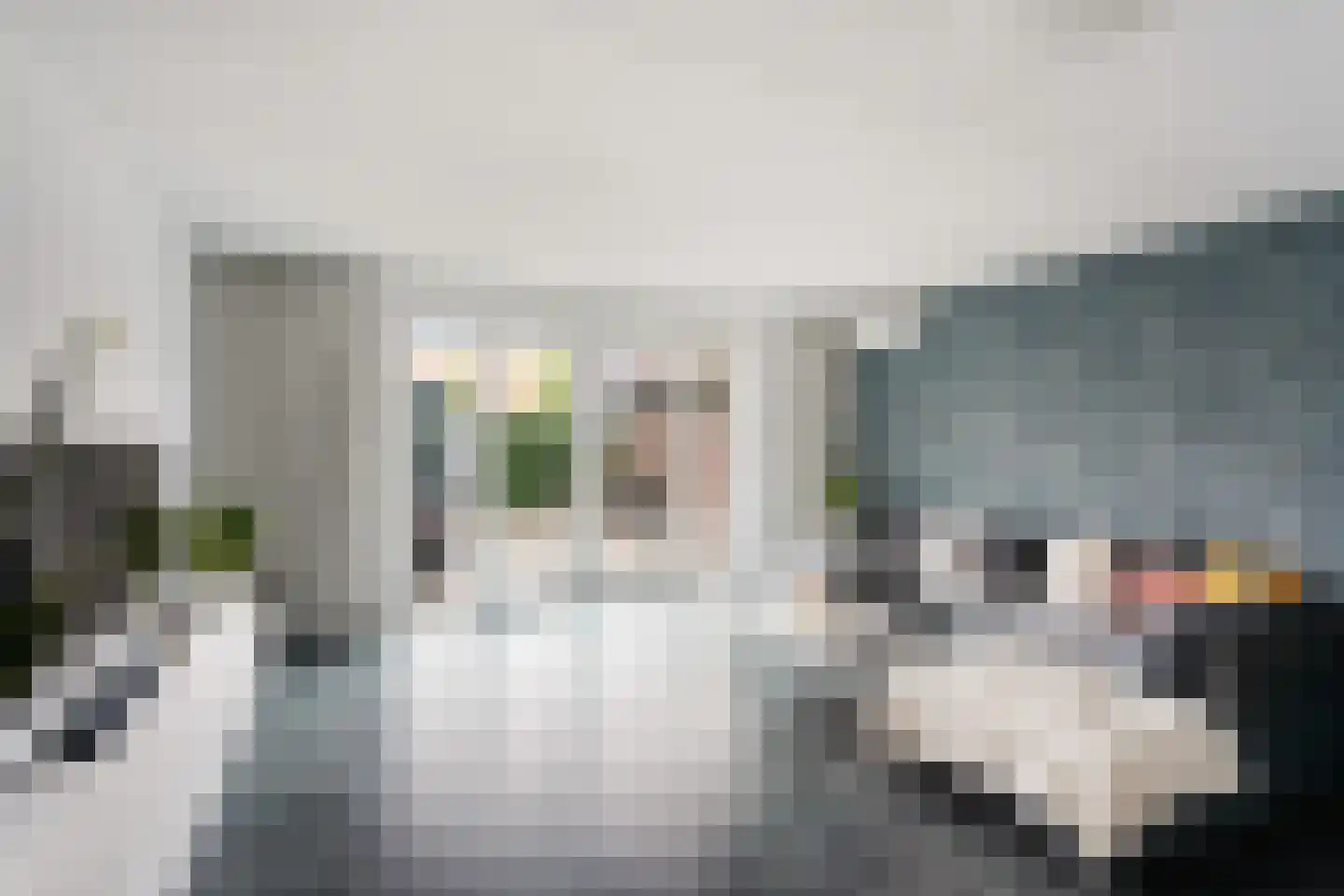 Lint van Ackerswoude 46 Pijnacker thumbnail 14
