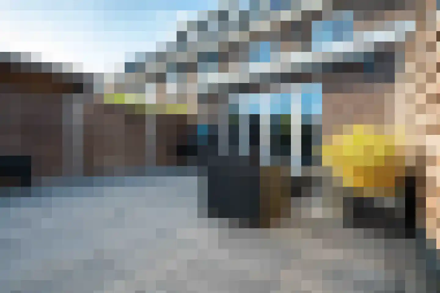 Lint van Ackerswoude 46 Pijnacker thumbnail 16