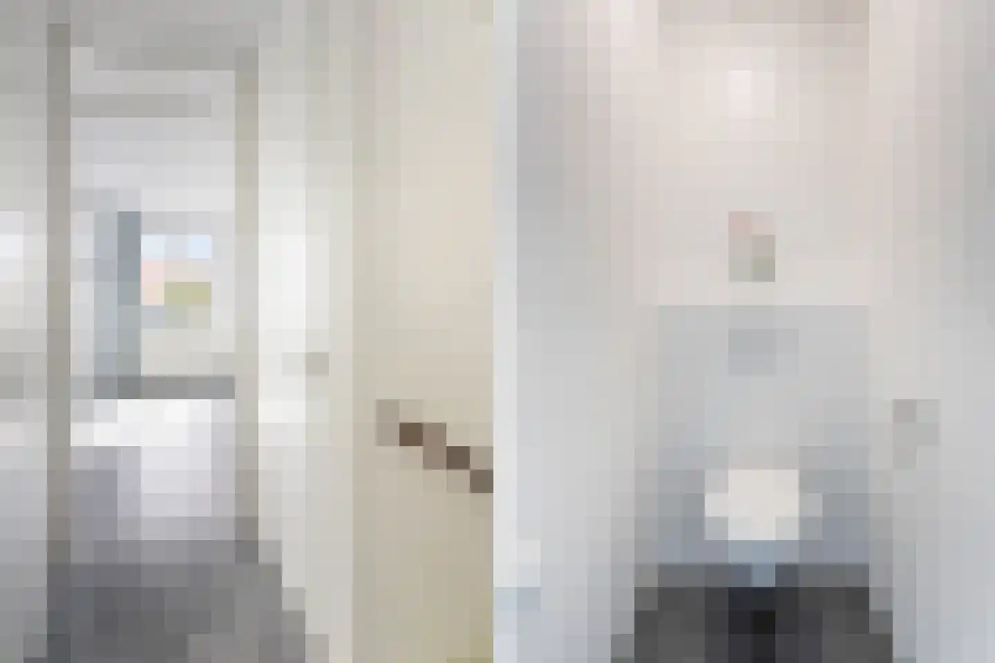 Lint van Ackerswoude 46 Pijnacker thumbnail 17