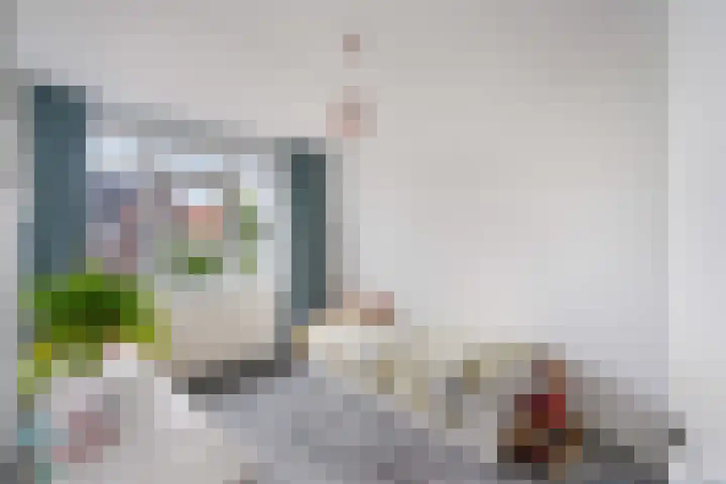 Lint van Ackerswoude 46 Pijnacker thumbnail 19
