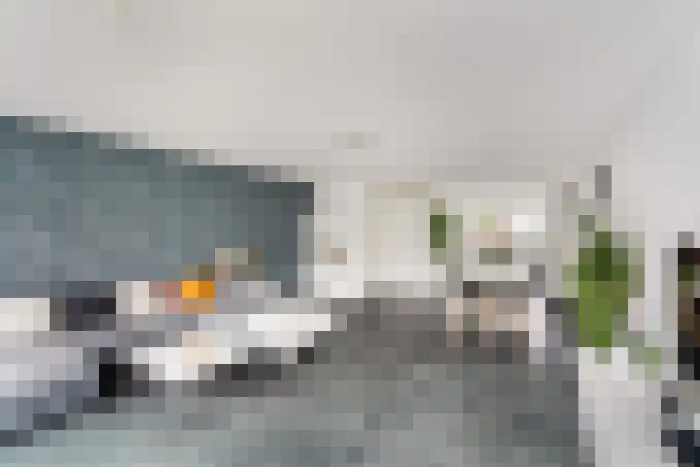 Lint van Ackerswoude 46 Pijnacker thumbnail 4