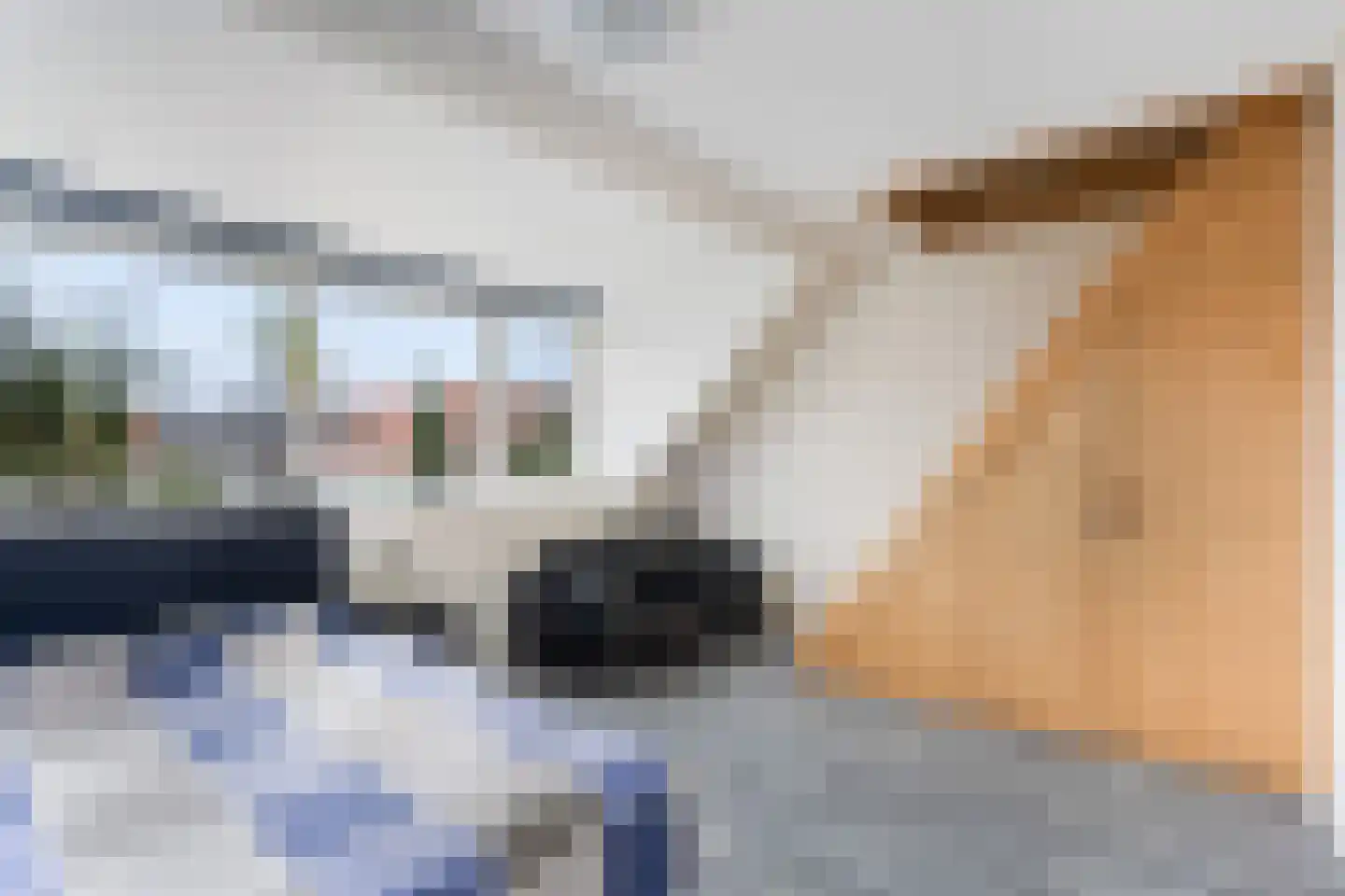 Lint van Ackerswoude 46 Pijnacker thumbnail 6